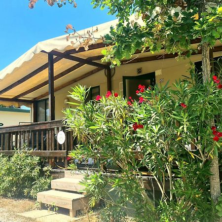 Comfortabele Familie Chalets Met Veranda Incl Airco Dichtbij Zee! 维亚雷焦 外观 照片
