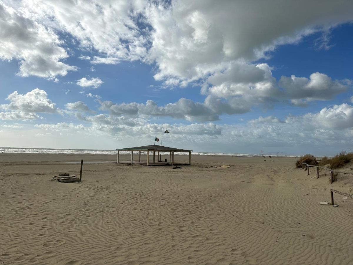 Comfortabele Familie Chalets Met Veranda Incl Airco Dichtbij Zee! 维亚雷焦 外观 照片